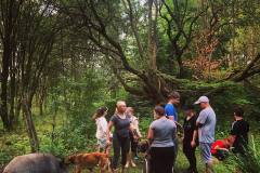 213891736_4659751340720993_7519322625094939615_n