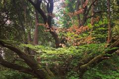 214273927_4659751344054326_2123365519091487647_n