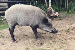 215493237_4669242649771862_293438825196472278_n