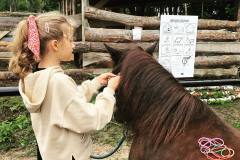 216016281_4666021866760607_3233051738103347332_n