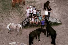 216123803_4668428613186599_8702027885488702903_n